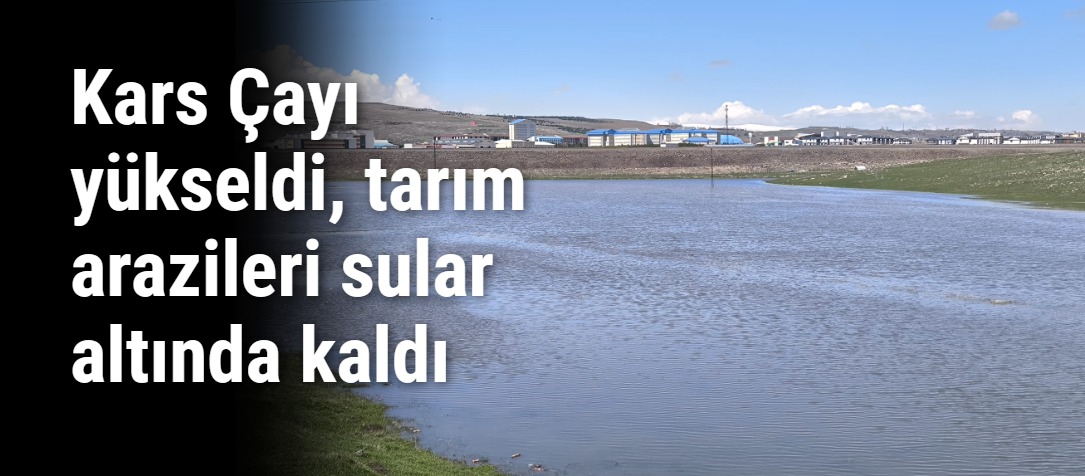 Kars Çayı yükseldi, tarım arazileri sular altında kaldı