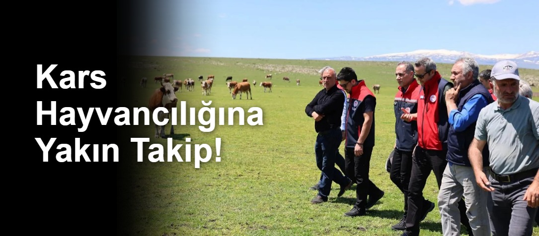 Kars Hayvancılığına Yakın Takip!