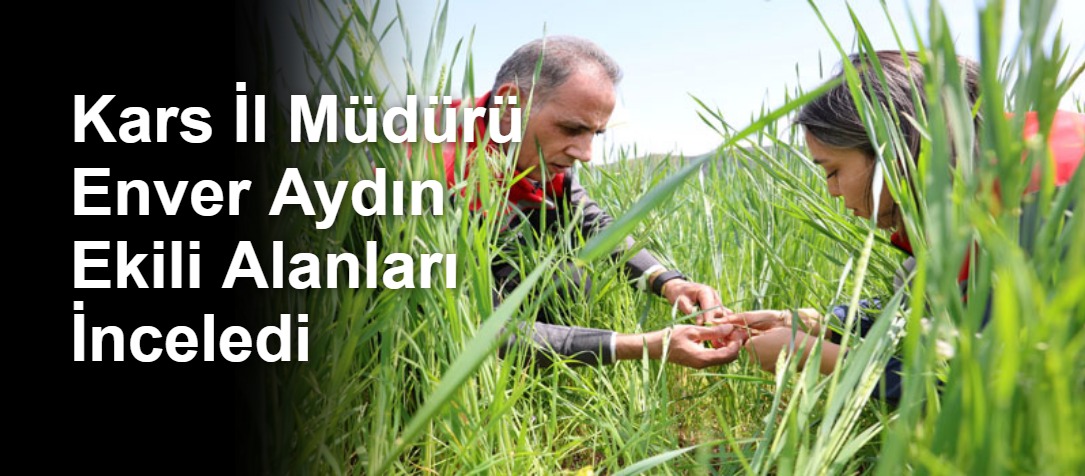 Kars İl Müdürü Enver Aydın Ekili Alanları İnceledi