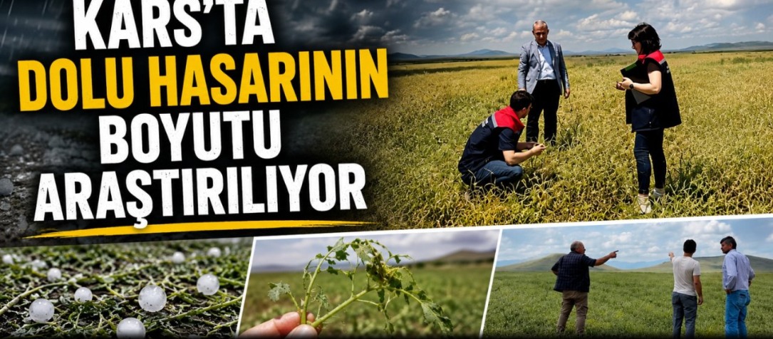 Kars’ta Dolu Hasarının Boyutu Araştırılıyor