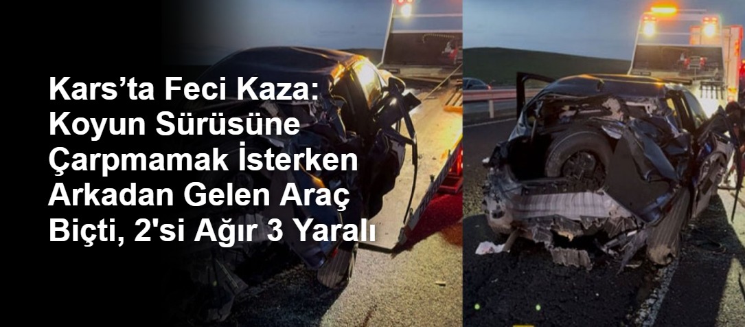 Kars’ta Feci Kaza: Koyun Sürüsüne Çarpmamak İsterken Arkadan Gelen Araç Biçti, 2'si Ağır 3 Yaralı