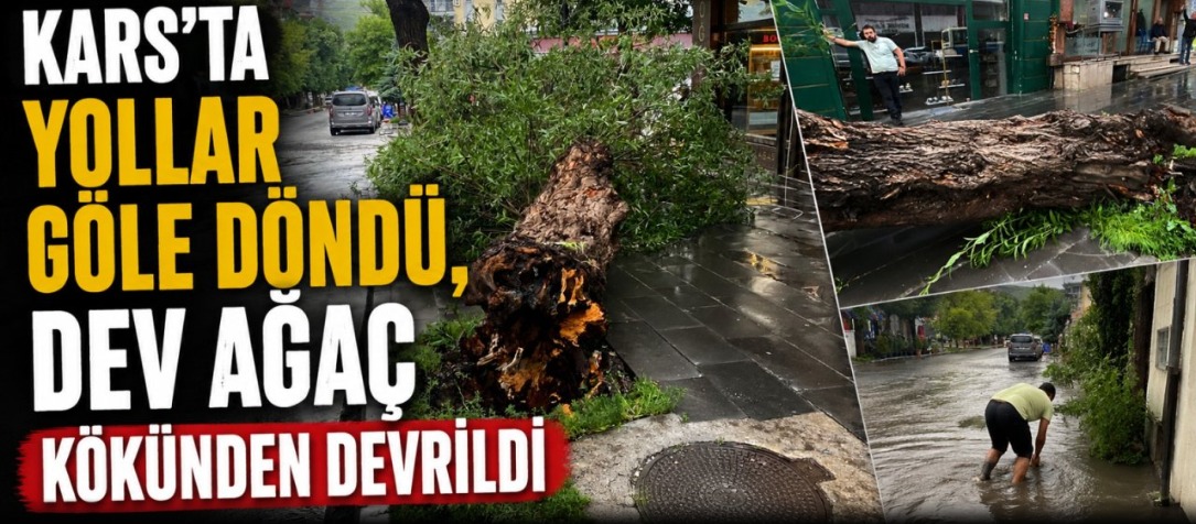 Kars'ta Yollar Göle Döndü, Dev Ağaç Kökünden Devrildi