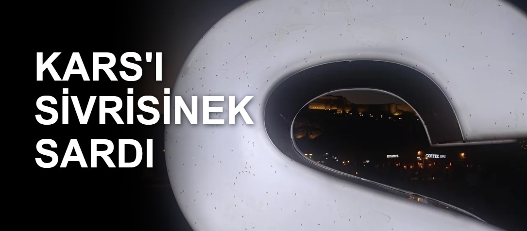 KARS'I SİVRİSİNEK SARDI