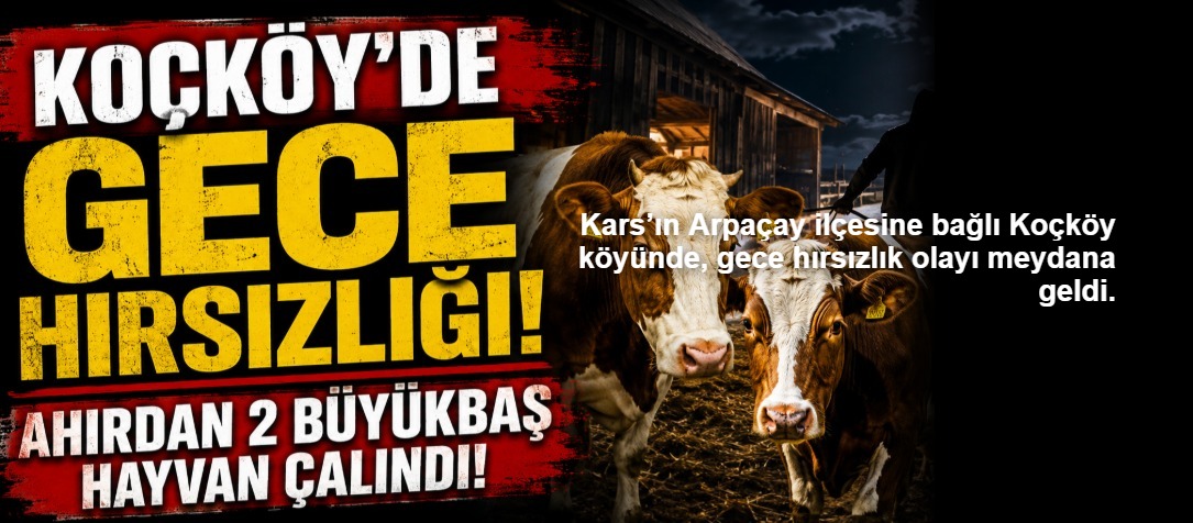 Kars’ın Arpaçay ilçesine bağlı Koçköy köyünde, gece hırsızlık olayı meydana geldi.
