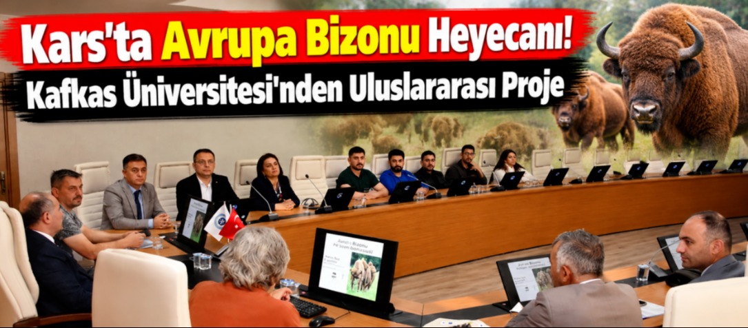 Kars’ta Avrupa Bizonu Heyecanı! Kafkas Üniversitesi'nden Uluslararası Proje