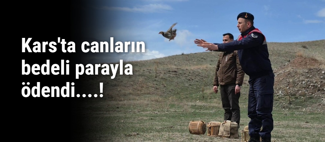 Kars'ta jandarma 11 avcıyı yakaladı, 51 keklik ve 921 646 TL ceza