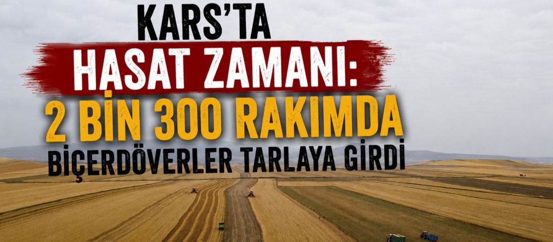 Kars’ta Hasat Zamanı: 2 Bin 300 Rakımda Biçerdöverler Tarlaya Girdi