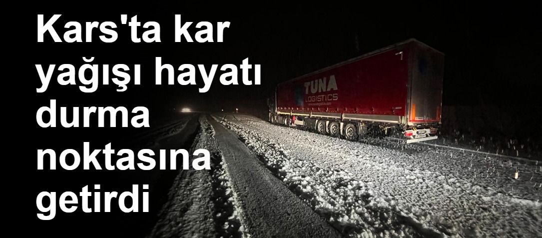 Kars'ta kar yağışı hayatı durma noktasına getirdi