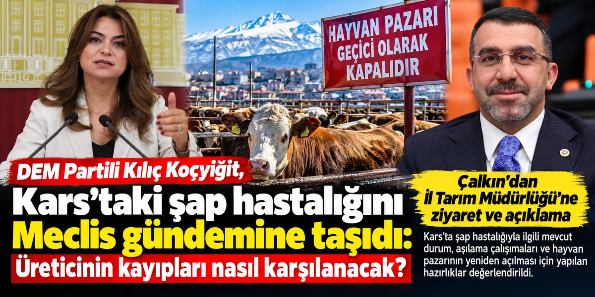 Kars’ta Şap Hastalığı Gündemi: Çalkın’dan Açıklama, Kılıç Koçyiğit’ten 13 Soruluk Önerge