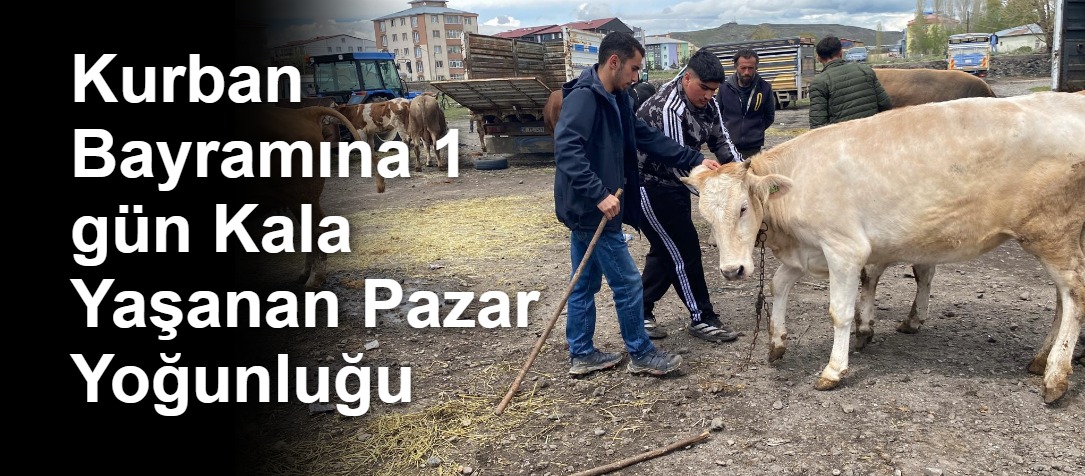 Kurban Bayramına 1 gün Kala Yaşanan Pazar Yoğunluğu