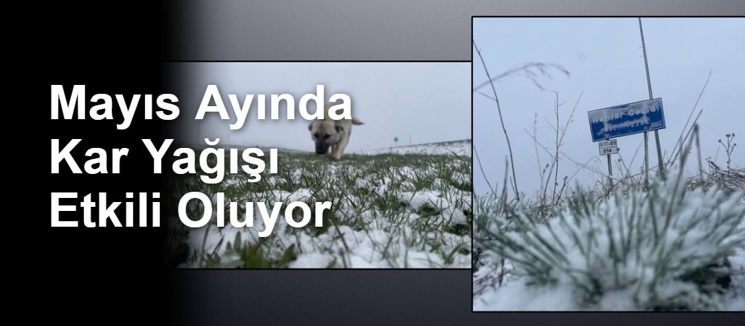 Mayıs Ayında Kar Yağışı Etkili Oluyor