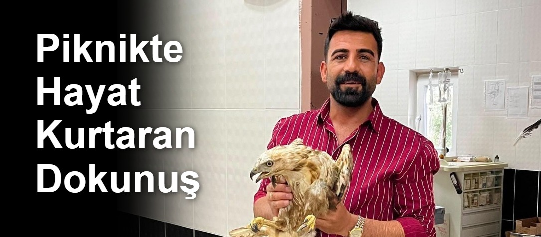 Piknikte Hayat Kurtaran Dokunuş