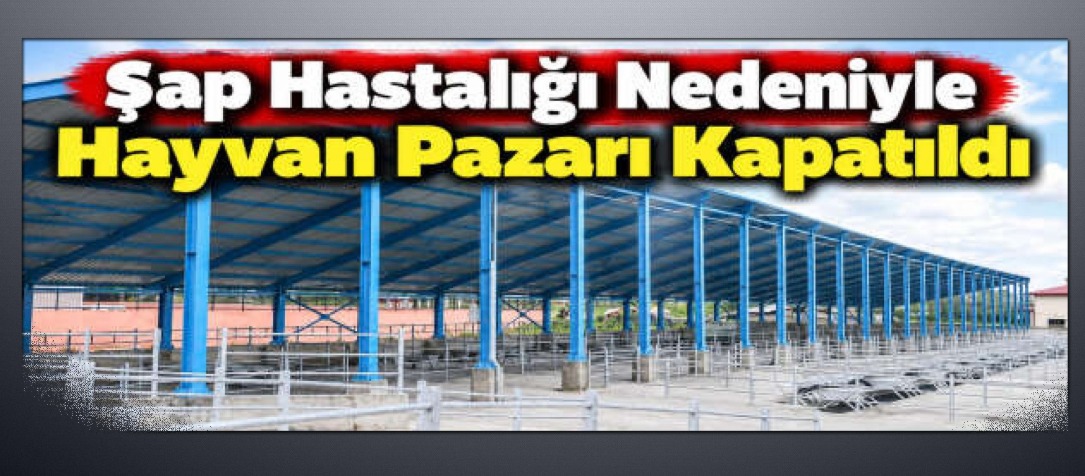 Şap Hastalığı Nedeniyle Hayvan Pazarı Kapatıldı