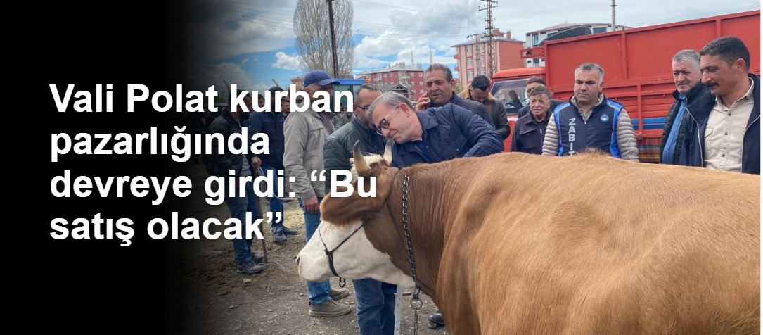 Vali Polat kurban pazarlığında devreye girdi: “Bu satış olacak”